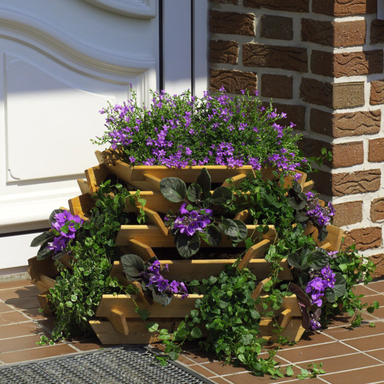 Sommerallee Vertikaler Garten Giesen aus Massivholz & Bewertungen